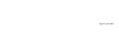 GDX Logo